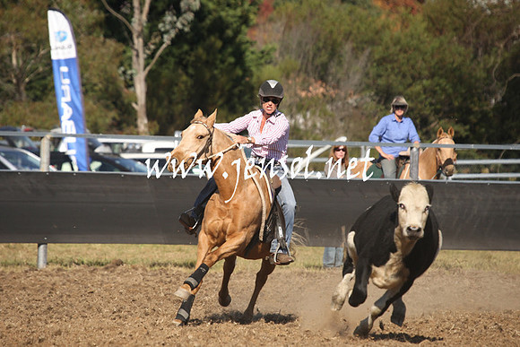 MossValeCampdraft2013_0949