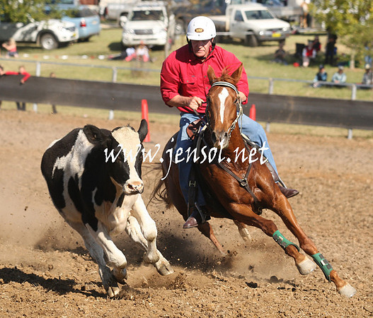 MossValeCampdraft2013_0931
