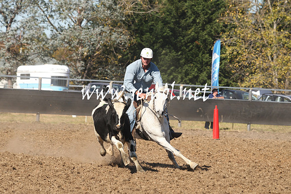 MossValeCampdraft2013_0769