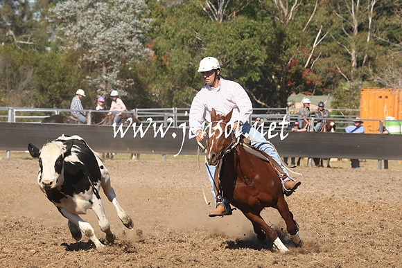 MossValeCampdraft2013_0793