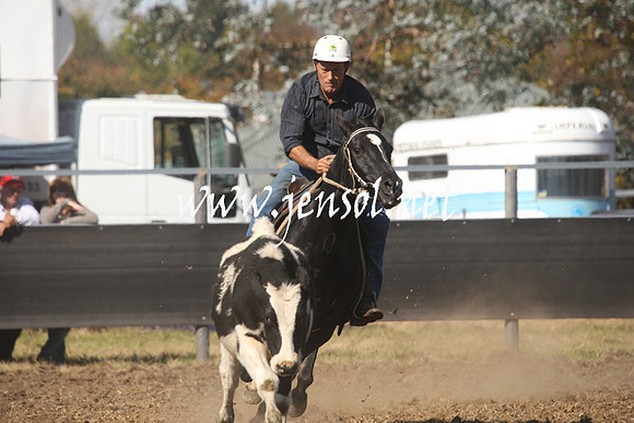MossValeCampdraft2013_0716
