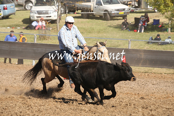 MossValeCampdraft2013_0887
