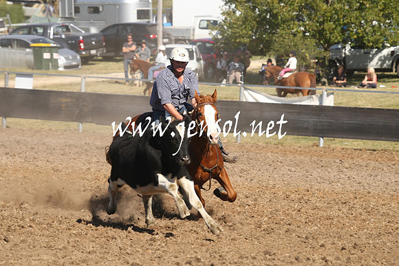 MossValeCampdraft2013_0869