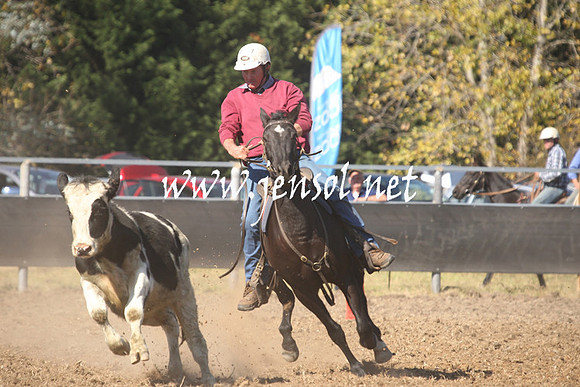 MossValeCampdraft2013_0631