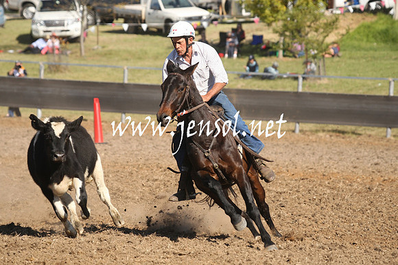 MossValeCampdraft2013_0912