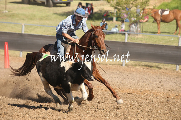 MossValeCampdraft2013_0819