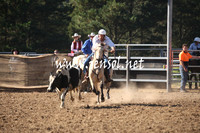MossValeCampdraft2013_0506