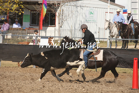 MossValeCampdraft2013_0643