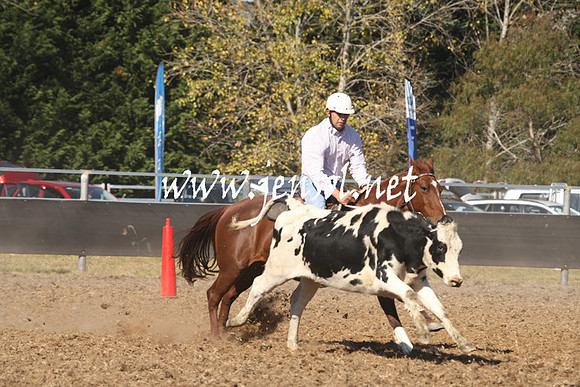 MossValeCampdraft2013_0788