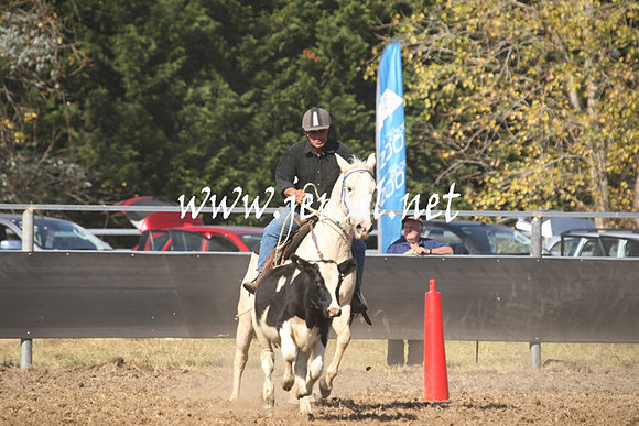 MossValeCampdraft2013_0698
