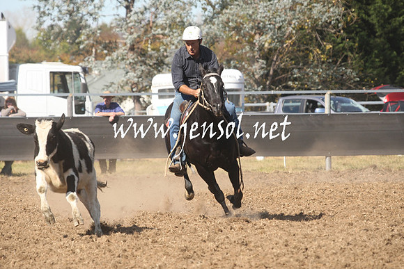 MossValeCampdraft2013_0717