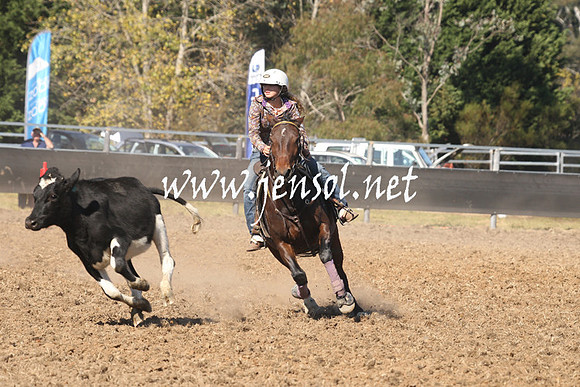 MossValeCampdraft2013_0756