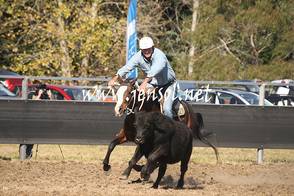 MossValeCampdraft2013_0825
