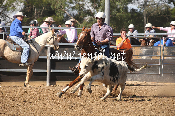 MossValeCampdraft2013_0670