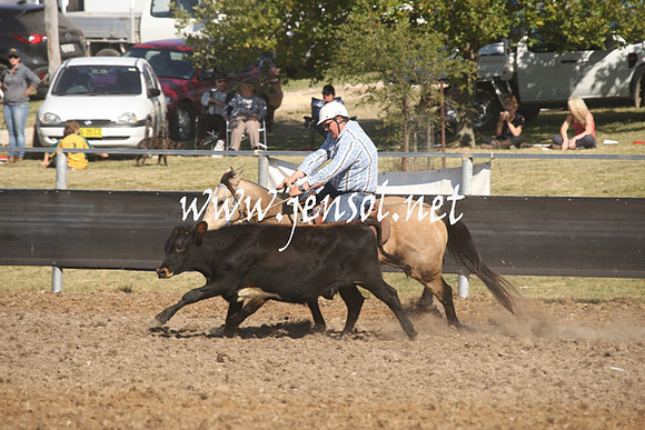 MossValeCampdraft2013_0900