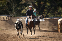 MossValeCampdraft2013_0503