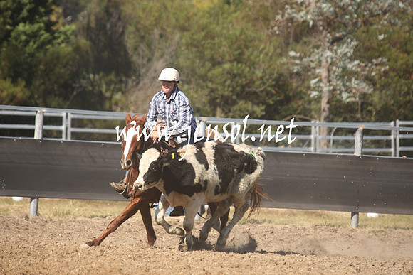MossValeCampdraft2013_0571