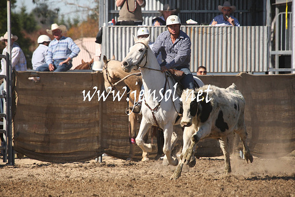 MossValeCampdraft2013_0539
