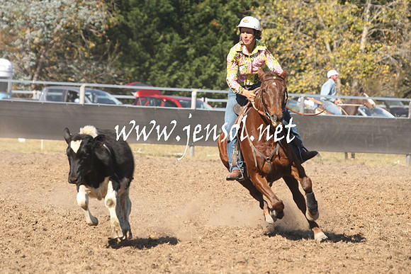 MossValeCampdraft2013_0806