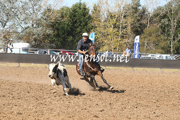MossValeCampdraft2013_0606