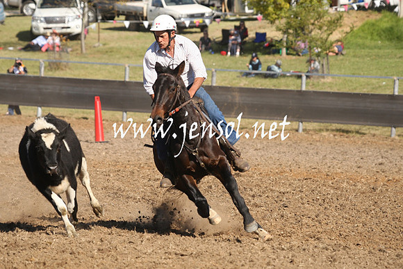 MossValeCampdraft2013_0911