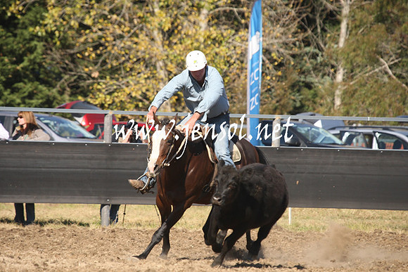 MossValeCampdraft2013_0829