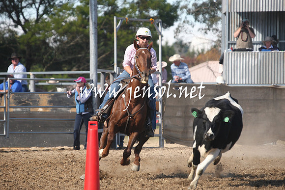 MossValeCampdraft2013_0681