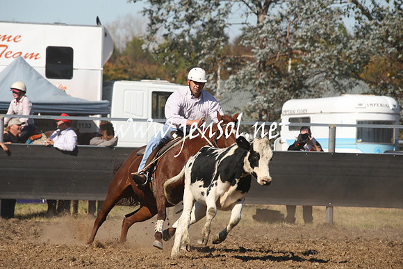 MossValeCampdraft2013_0786