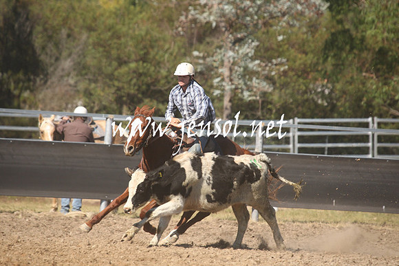 MossValeCampdraft2013_0572