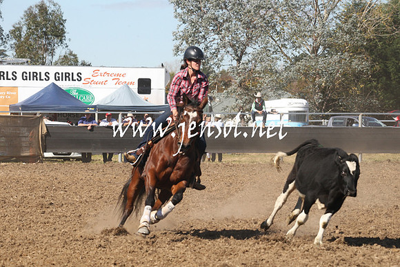 MossValeCampdraft2013_0677
