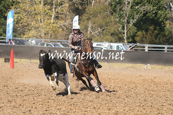 MossValeCampdraft2013_0753
