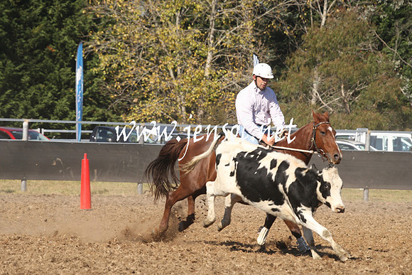 MossValeCampdraft2013_0789