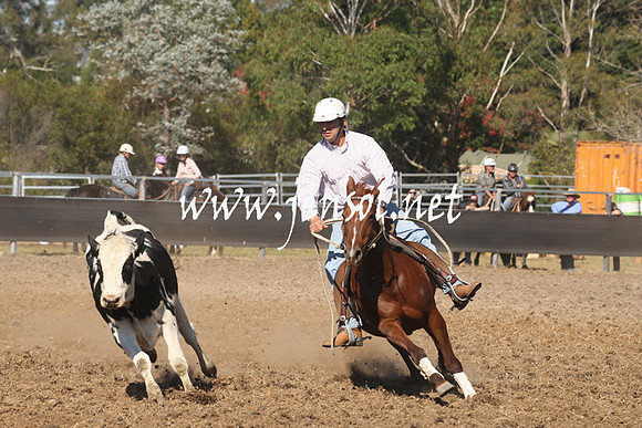 MossValeCampdraft2013_0796