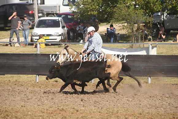 MossValeCampdraft2013_0901