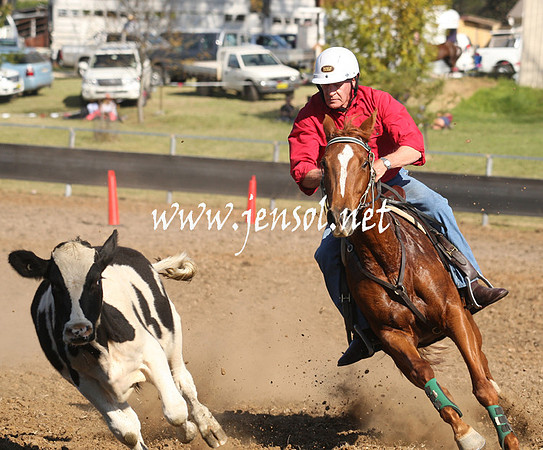 MossValeCampdraft2013_0935