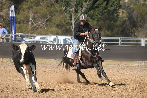 MossValeCampdraft2013_0640