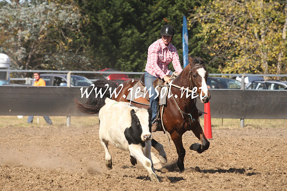 MossValeCampdraft2013_0725