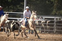 MossValeCampdraft2013_0509