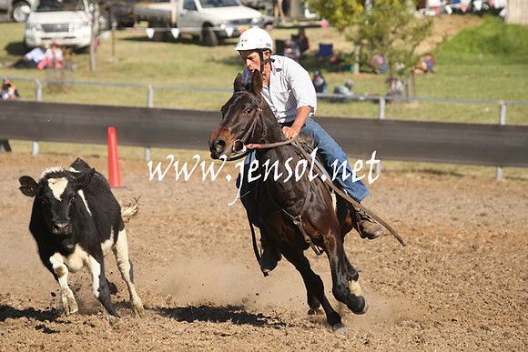 MossValeCampdraft2013_0915
