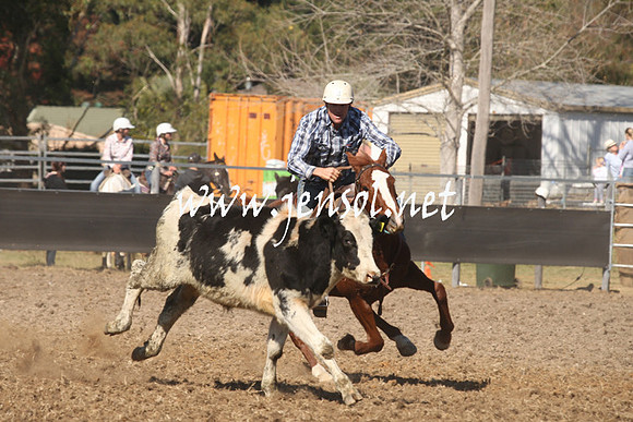 MossValeCampdraft2013_0563