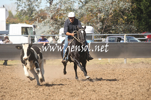 MossValeCampdraft2013_0715