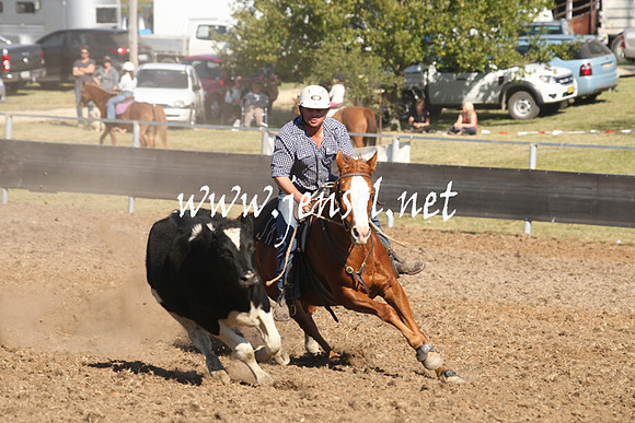 MossValeCampdraft2013_0868