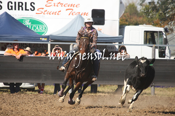MossValeCampdraft2013_0749