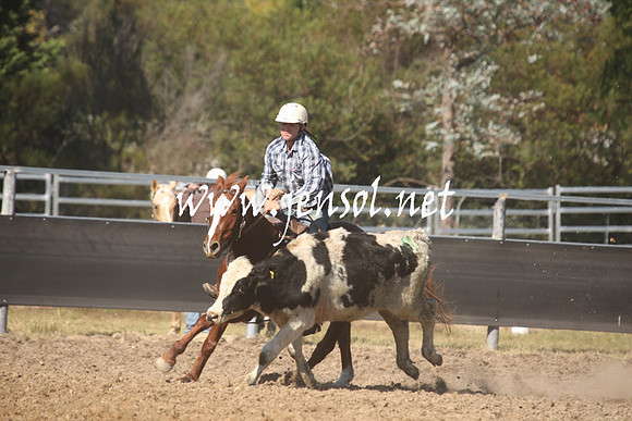 MossValeCampdraft2013_0570