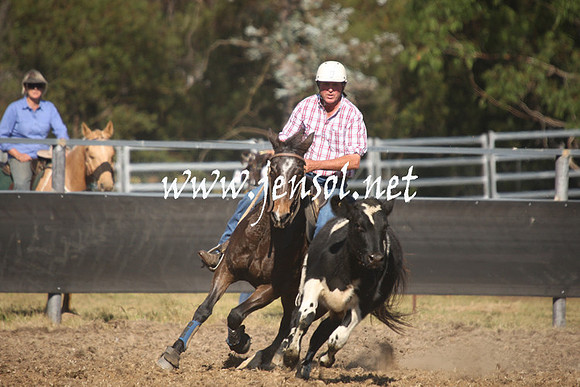 MossValeCampdraft2013_0939