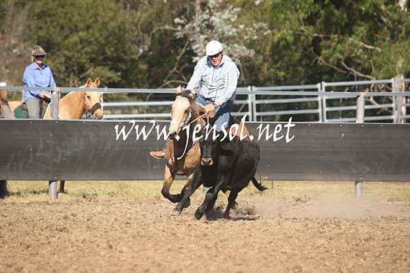 MossValeCampdraft2013_0881