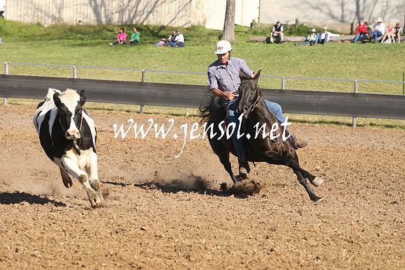 MossValeCampdraft2013_0858