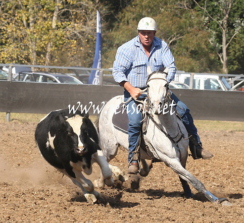 MossValeCampdraft2013_0708