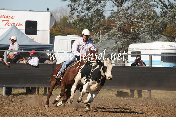 MossValeCampdraft2013_0785