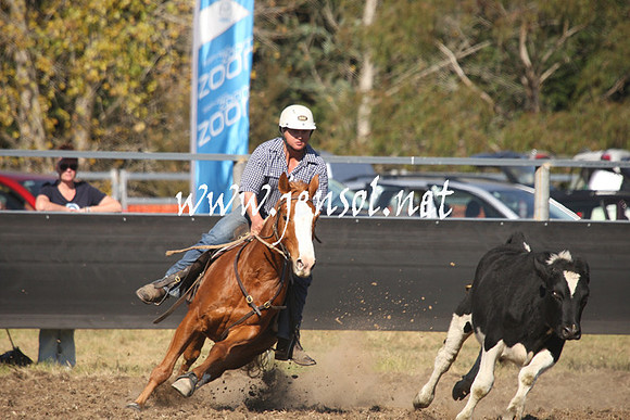 MossValeCampdraft2013_0867